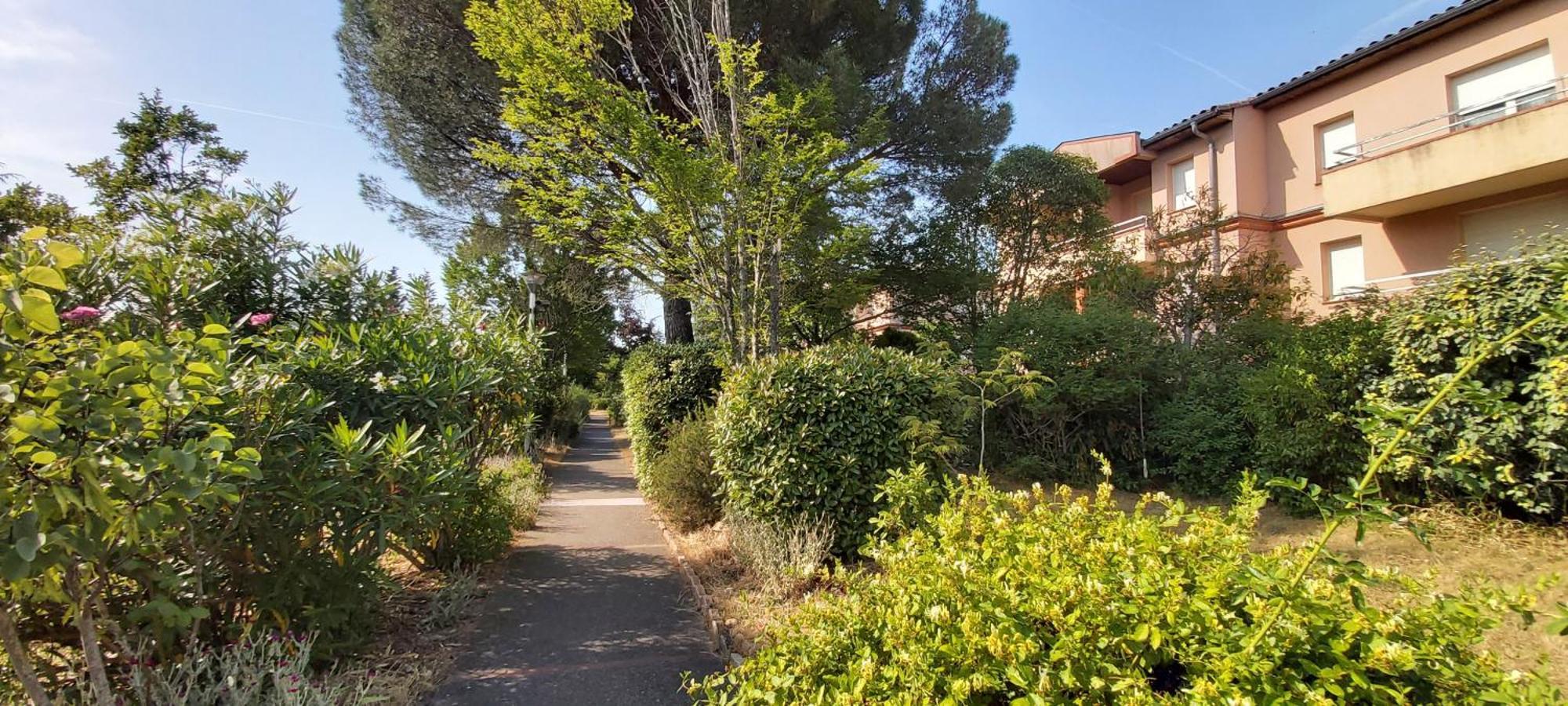 Les Elfes - Avec Entree Autonome, Clim Neuve, Jardin, Parking Prive & Gourmandises Offertes ! - Apartman Toulouse Kültér fotó