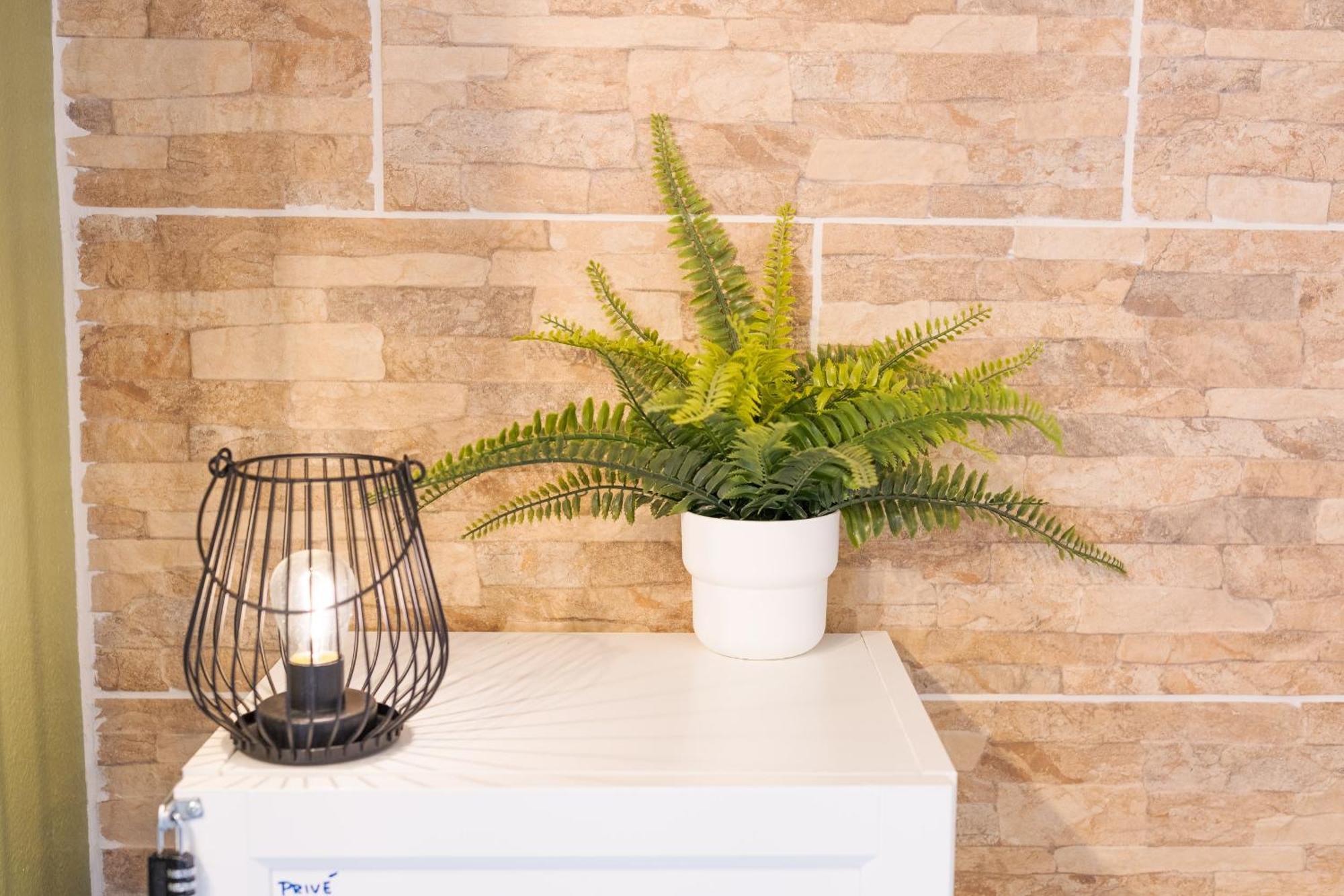 Les Elfes - Avec Entree Autonome, Clim Neuve, Jardin, Parking Prive & Gourmandises Offertes ! - Apartman Toulouse Kültér fotó
