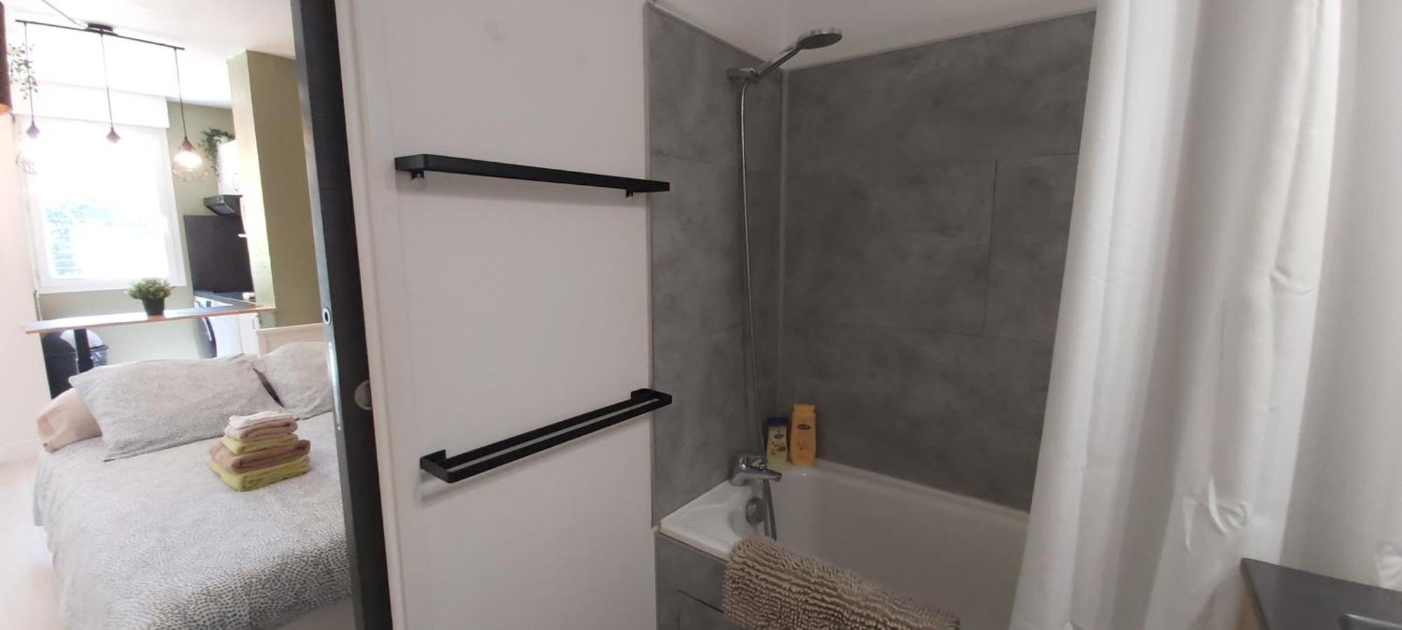 Les Elfes - Avec Entree Autonome, Clim Neuve, Jardin, Parking Prive & Gourmandises Offertes ! - Apartman Toulouse Kültér fotó