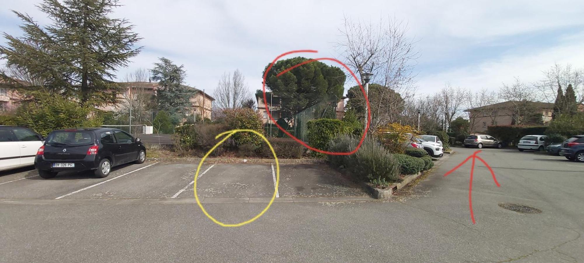 Les Elfes - Avec Entree Autonome, Clim Neuve, Jardin, Parking Prive & Gourmandises Offertes ! - Apartman Toulouse Kültér fotó